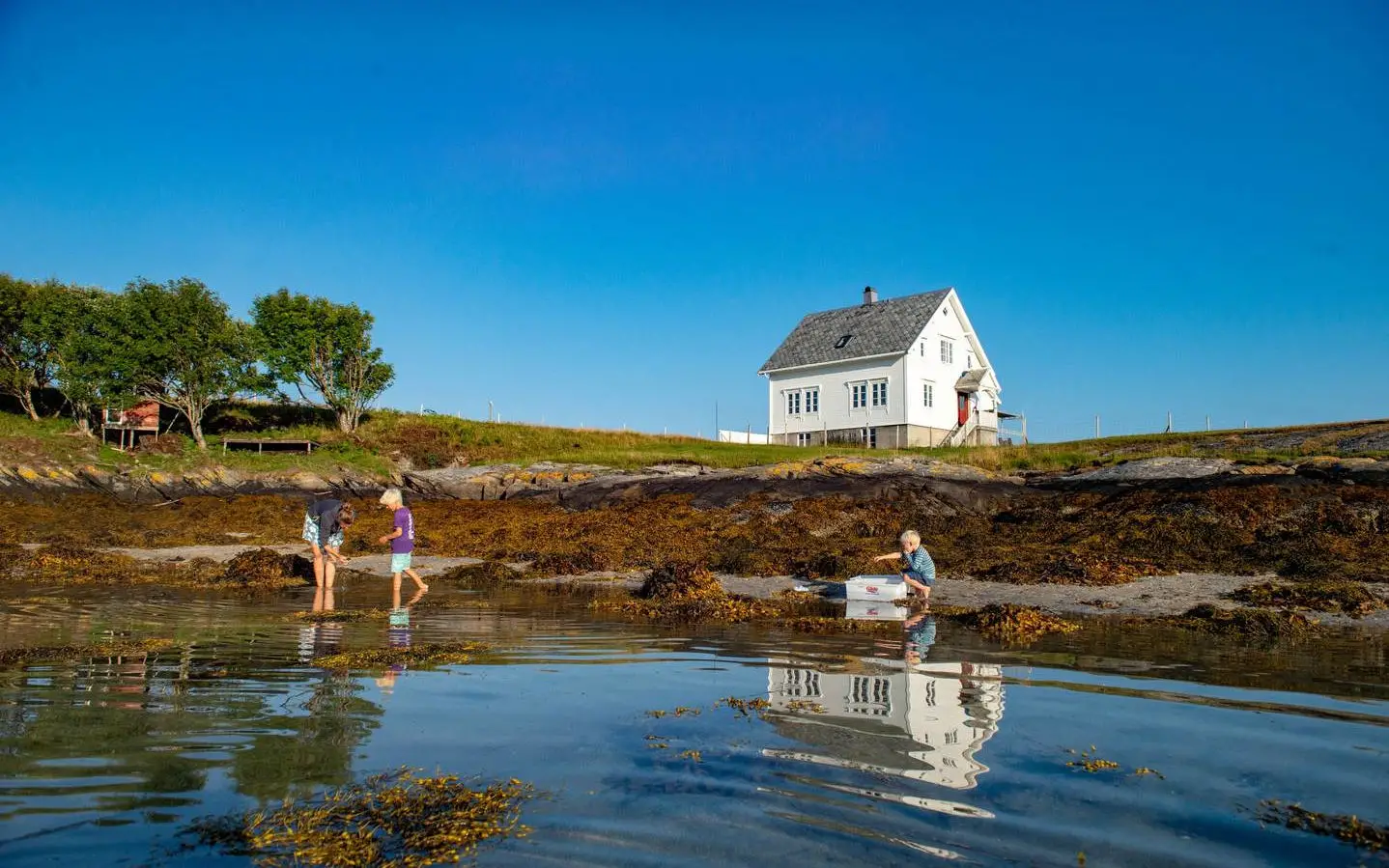 Privatinsel mieten in Norwegen per Airbnb - Notholmen