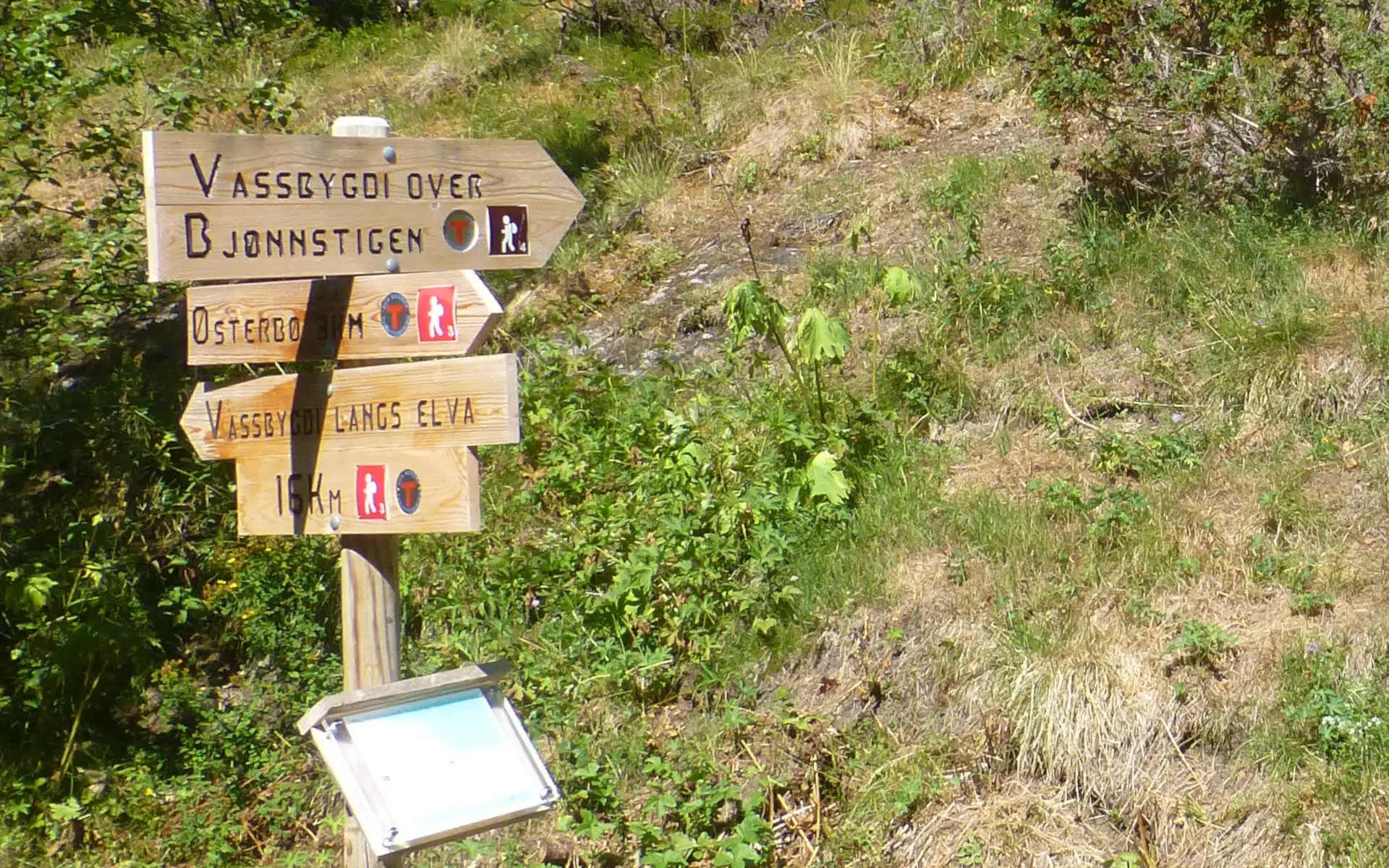Aurlandsdalen Routenvariante über den Bjørnestigen